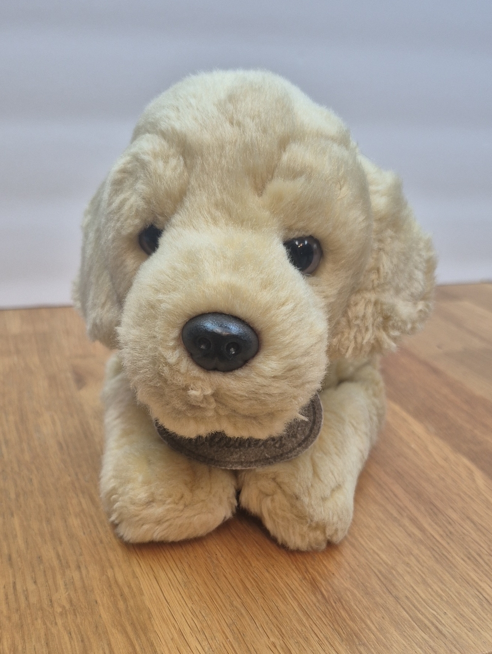 *RUSS* Yellow Labrador